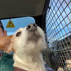 Meet your Posher, Ken